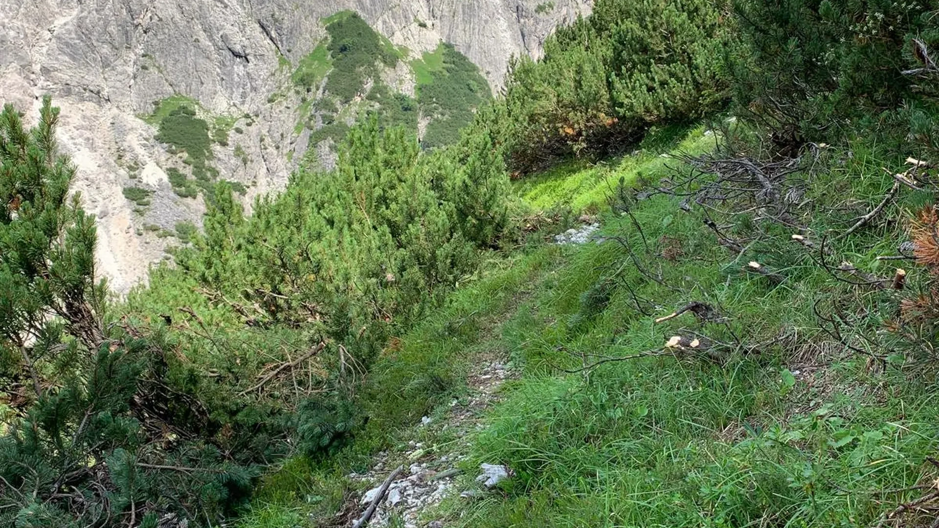 IMG-20240729-WA0008