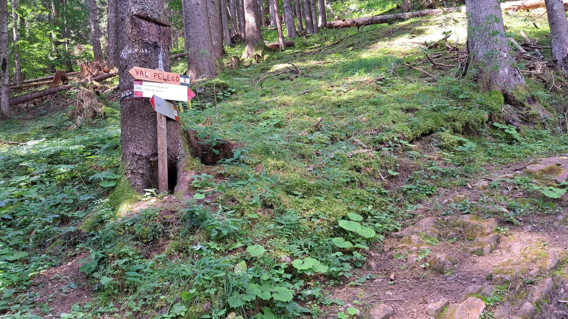 IMG-20240717-WA0015